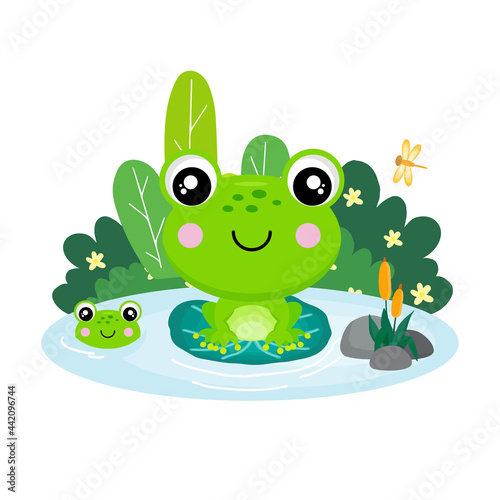  Cute frog sitting on a leaf in a pond .