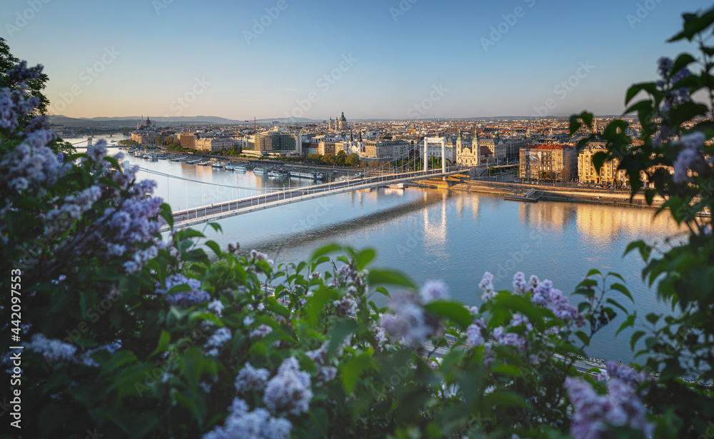 View on Budapest with Elisabeth Bridge in spring