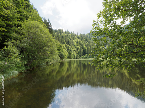 Bayerische Landschaft. Suttensee romantischer und mystischer Ort am Ende des Tals der Tergernsee und Rottach richtung Enterrottach und Valepp