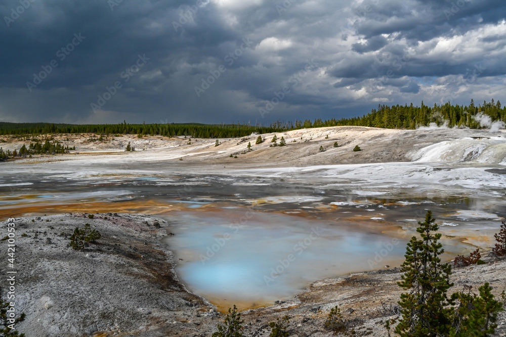 Colloidal Pool in Yellowstone National Park, Wyoming Colloidal Pool in Yellowstone National Park, Wyoming