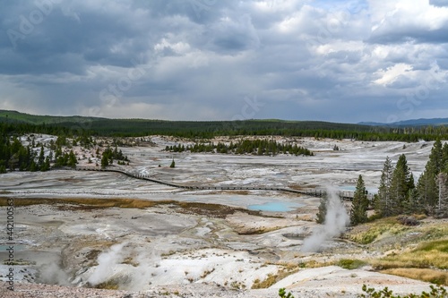 The Norris Geyser Basin in Yellowstone National Park, Wyoming