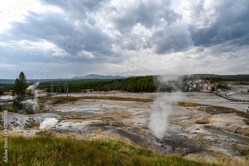 The Norris Geyser Basin in Yellowstone National Park  Wyoming