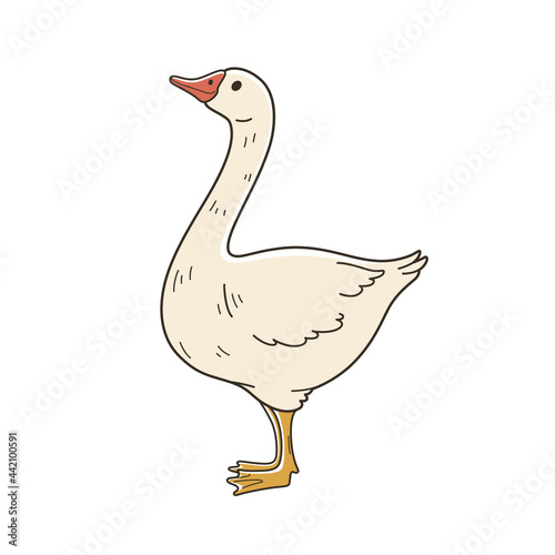 Cute goose. Contour vector illustration.