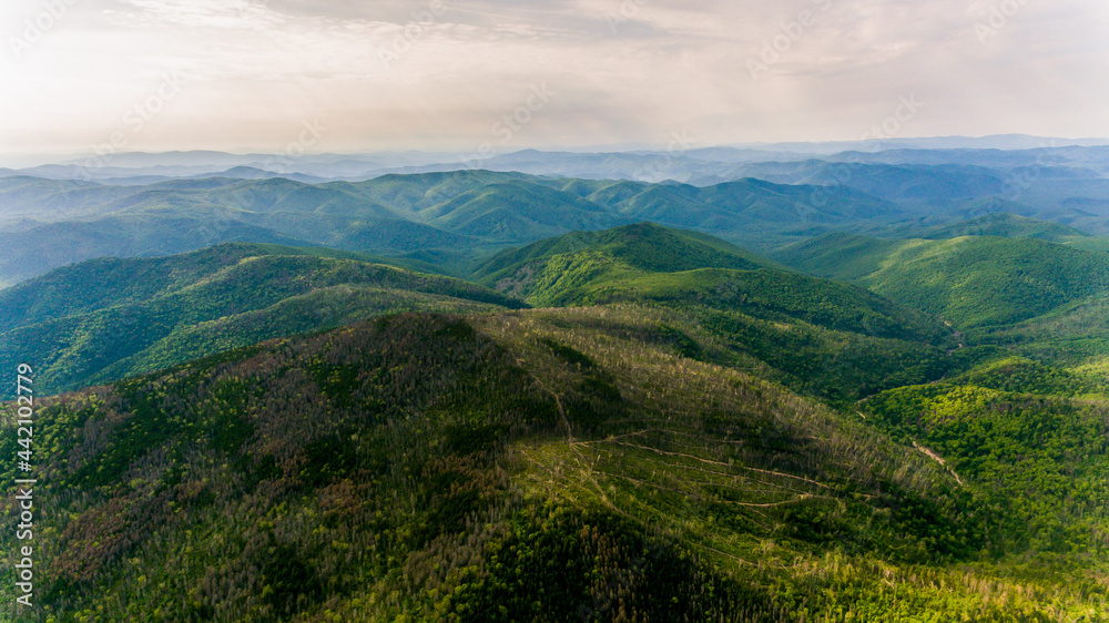 View from above. Russian green taiga. Green ridge of a high mountain, overgrown with conifers.