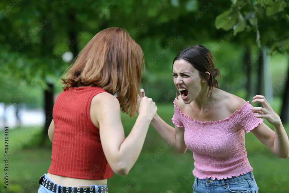 Two women arguing aggressively in a park Two women arguing aggressively in a park