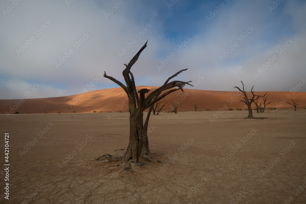 Dead Valley Sossusvlei Namibia