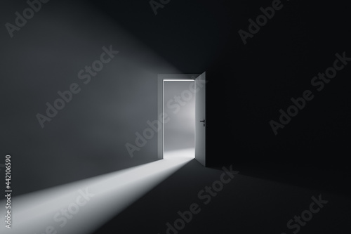 Slika na platnu Open door to a room with bright light