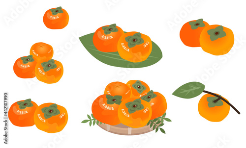 柿のイラストセット　秋の味覚　果物