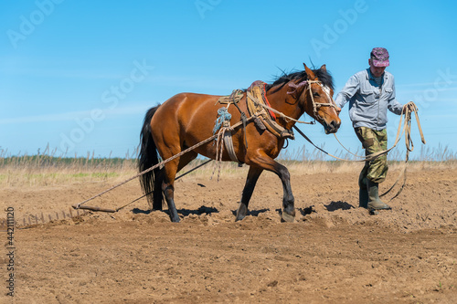 Man farmer with a horse harrowing a field on a sunny day. Concept of spring work in the field