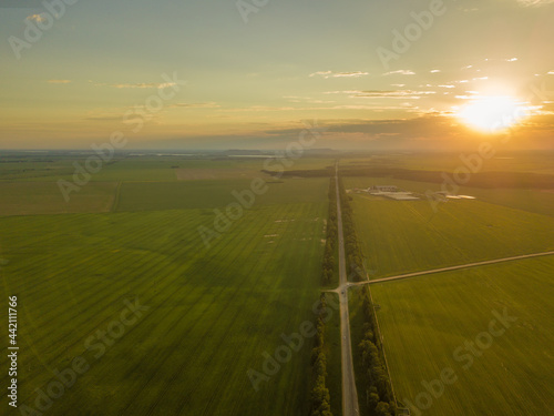 Beautiful view from a drone on a two-lane road with an intersection, green fields at sunset