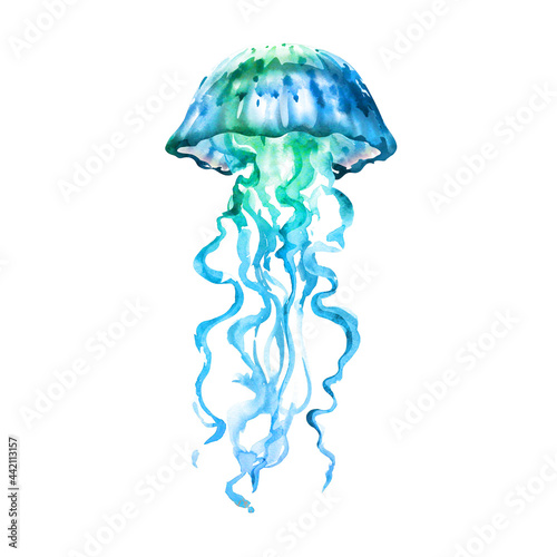 Blue Ocean Water Jellyfish, isolated, hand drawn watercolor illustration on white background photo