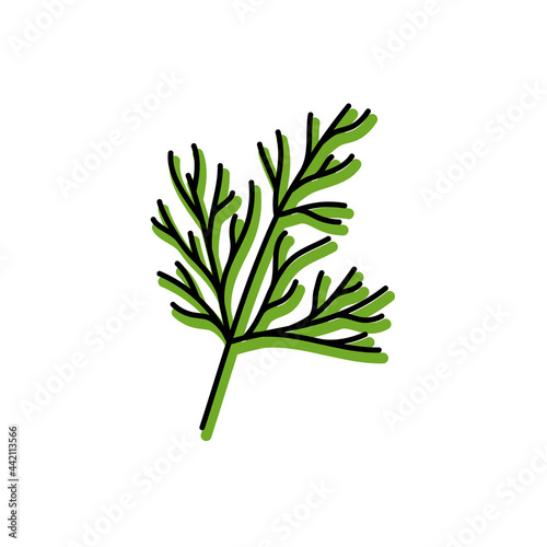 Dill herbs. Vegetable sketch. Color simple icon. Hand drawn vector doodle illustration