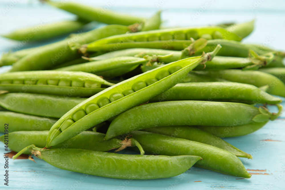 Green pea background on blue. Pea pods from farmland. Pea freshly picked. Organic fresh vegetables. Healthy eating. Green pea background on blue. Pea pods from farmland. Pea freshly picked. Organic fresh vegetables. Healthy eating.