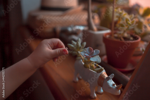 children s hands playing with flowers