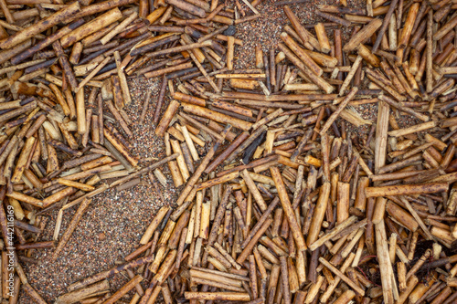 close up of cane texture
