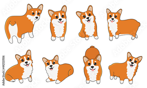 Set of welsh corgi in cartoon  style. Collection of dog characters, flat illustration for design, decor, print, stickers, posters. Vector illustration isolated on a white background.