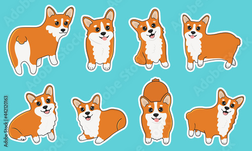Fototapeta Naklejka Na Ścianę i Meble -  Set of welsh corgi in cartoon  style. Collection of dog characters, flat illustration for design, decor, print, stickers, posters. Vector illustration isolated on a white background.