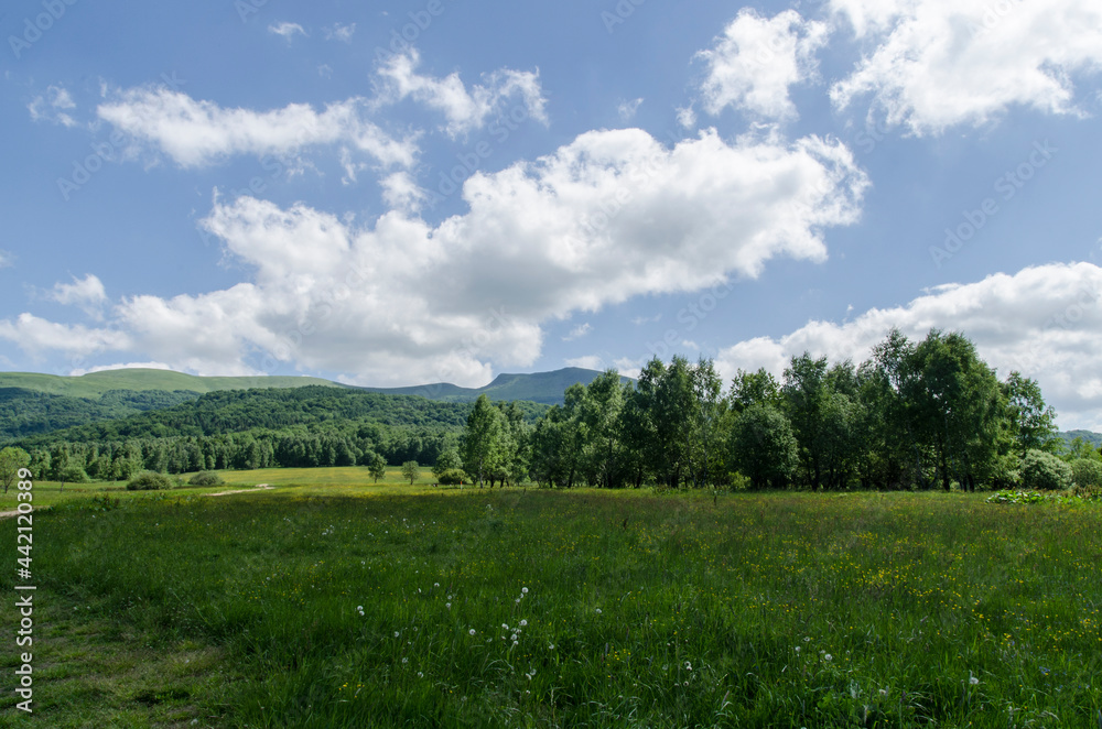 Bieszczady w lecie 