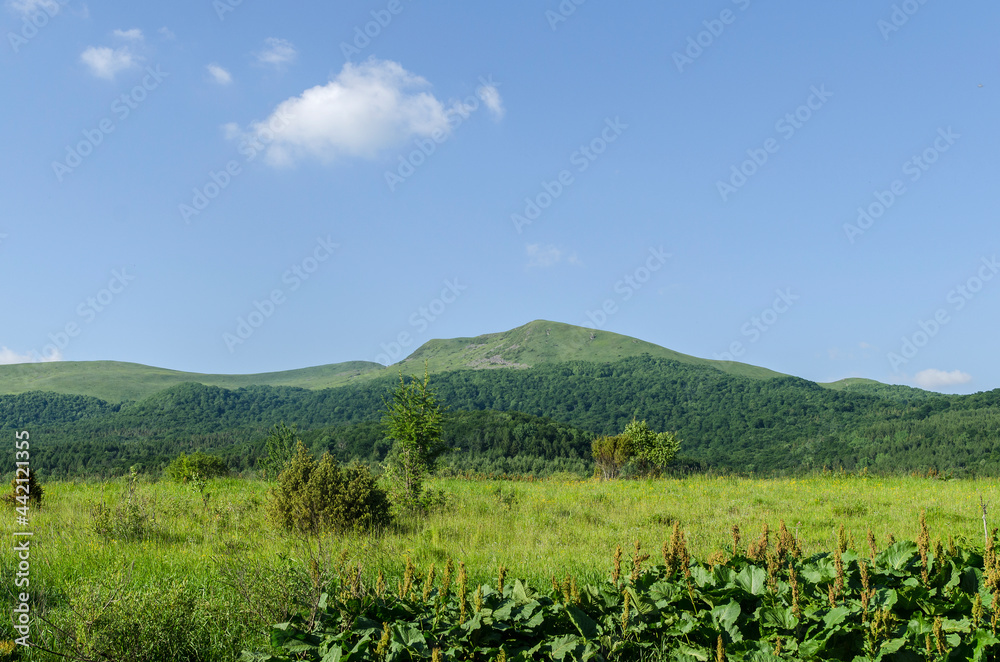 Bieszczady połoniny 