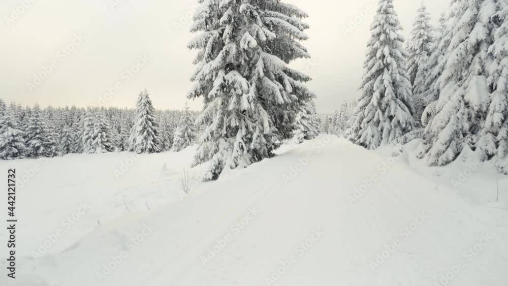 A cross-country skiing trail in a snow-covered winter landscape with trees