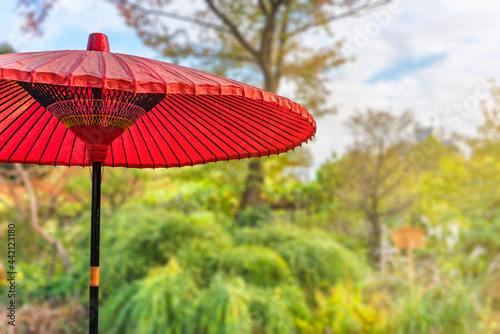 Close up on a Japanese traditional nodategasa paper umbrella painted in a vivid scarlett color called beniiro and used for the open-air tea ceremony called nodate during which people enjoy green tea.