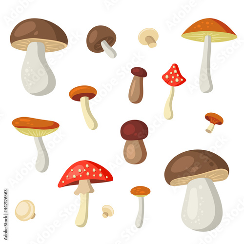 Mushrooms Cartoon Style Set on White Background. Vector