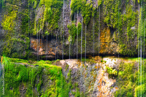 Wild forest waterfall with mossy granite rocks.