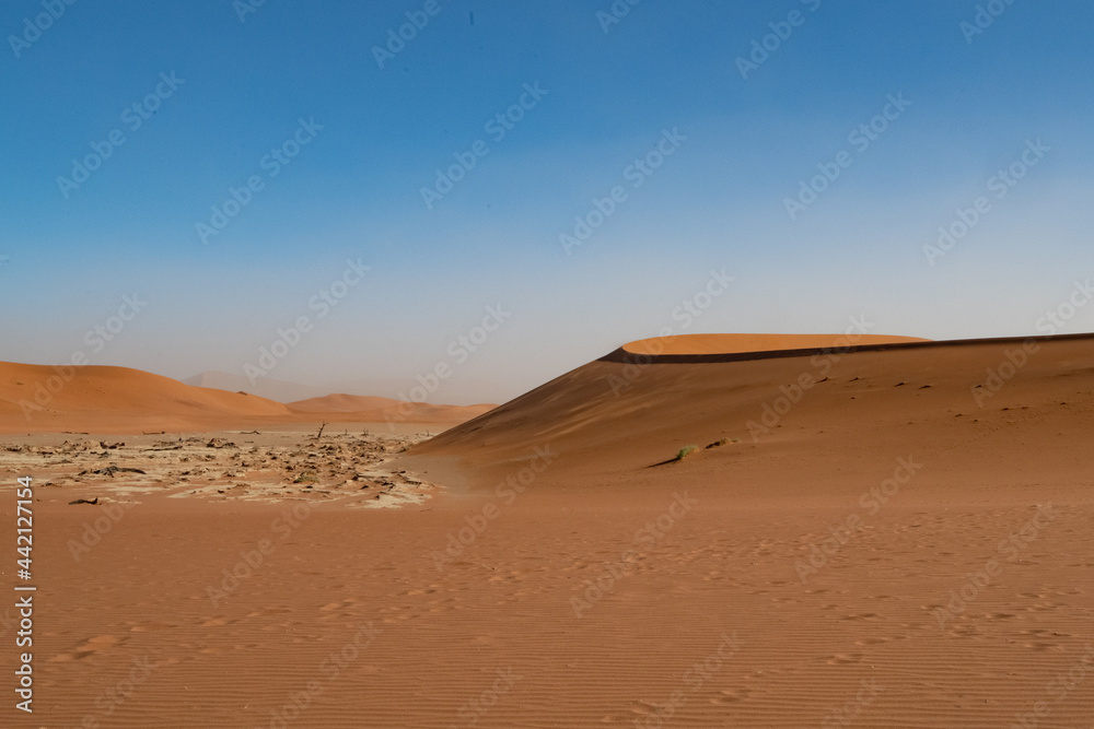 Death valley, Sossusvlei, Namib desert, Namibia