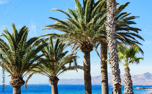 Puerto del Carmen, Lanzarote, Canary islands photo