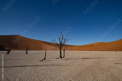 Death valley  Sossusvlei  Namib desert  Namibia