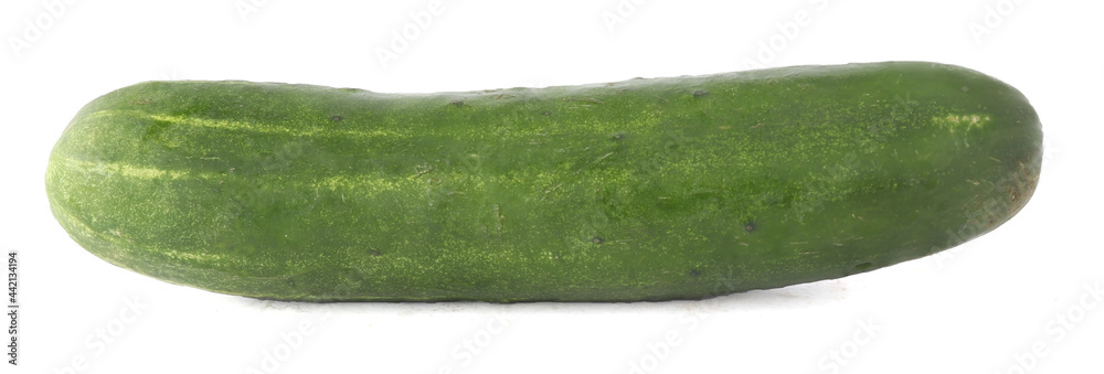 cucumber isolated on white background cucumber isolated on white background