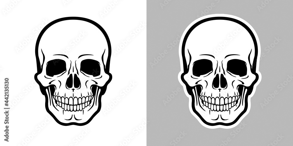 Human skull. Black and white vector Illustration with anatomical proportions, isolated on light and dark background.