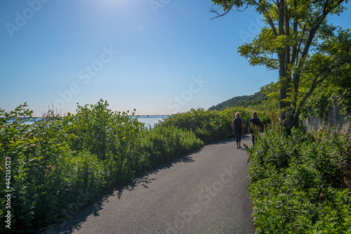 Morning Walk on Trail