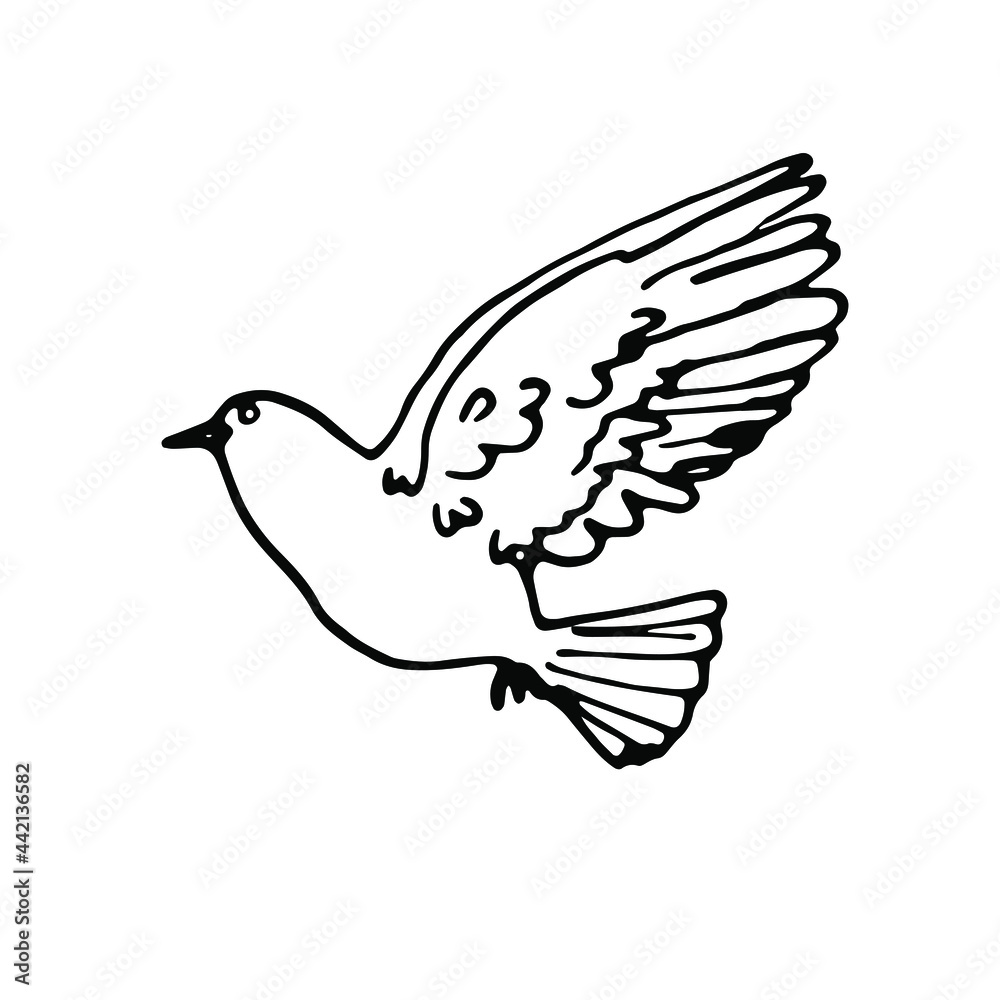 Fototapeta premium Doodle dove.Line art hand drawn vector element.