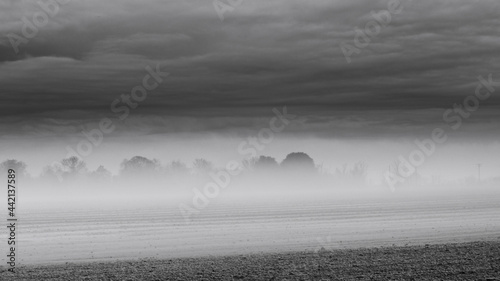 a year in the fog