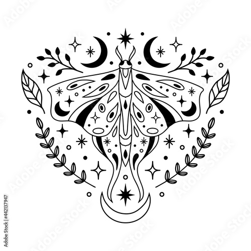Vector abstract magic illustration with celestial moth, moon, stars and flowers isolated on white background. Boho trendy esoteric butterfly symbol for poster print, fashion, fabric, textile, paper