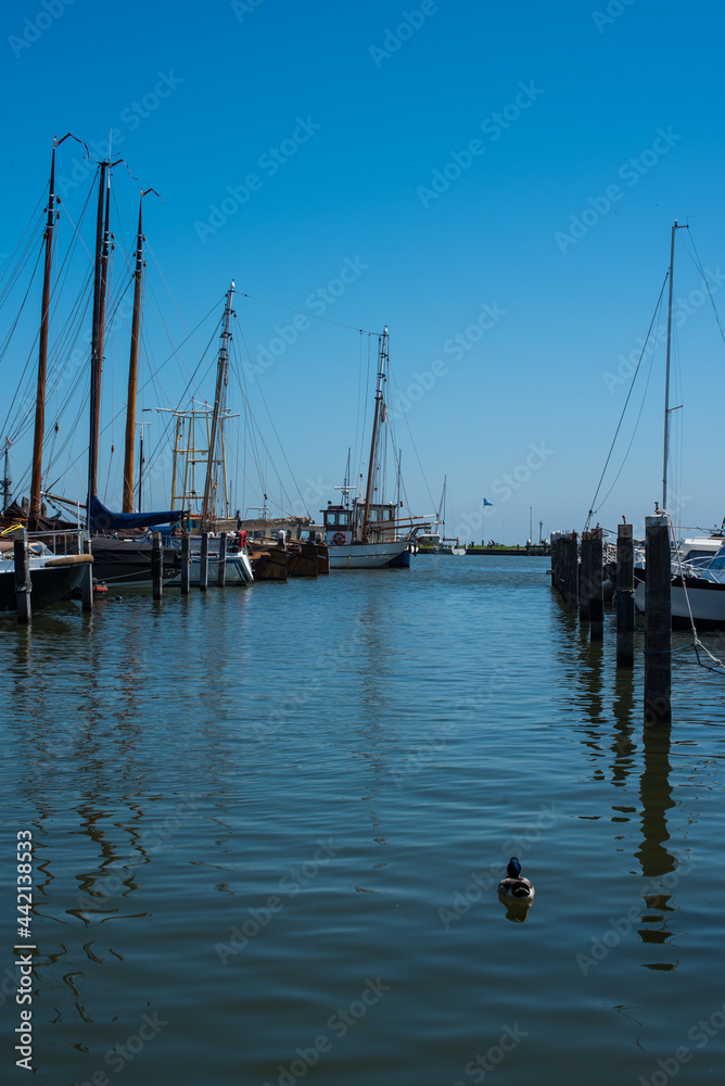 houses and boats in Volendam