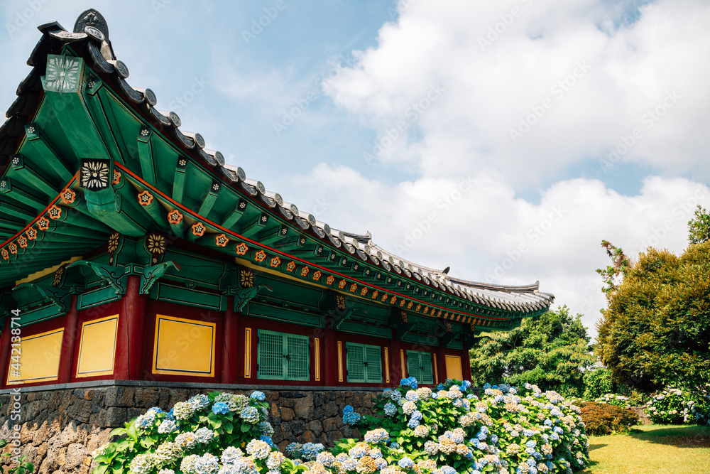 Honinji Pond hydrangea flower garden in Jeju Island, Korea Honinji Pond hydrangea flower garden in Jeju Island, Korea