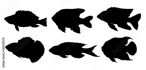 vector set of silhouettes of black fish of different shapes, drawn by hand. isolated marine and river isolated aquarium fish elements black silhouettes for menu templates and packaging design labels