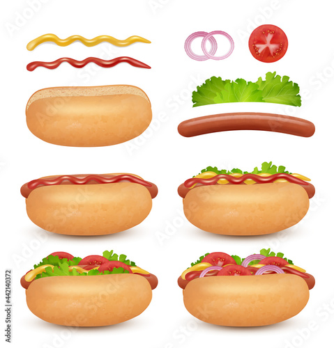 Hotdog realistic. Sausages buns meals tomato sauce fast food hamburger ingredients decent vector illustrations