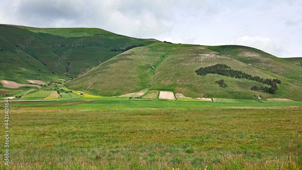 Italy hills of Norcia field
