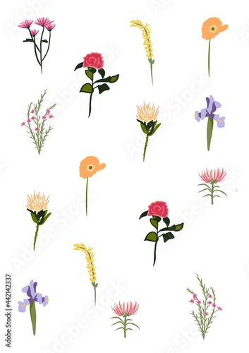 Set of different spring Summer flowers. Botanical background pattern. Good illustration for posters, postcards, invitations. Simple cartoon style icons