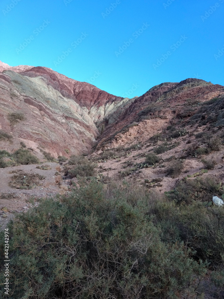 Fototapeta premium grand canyon state