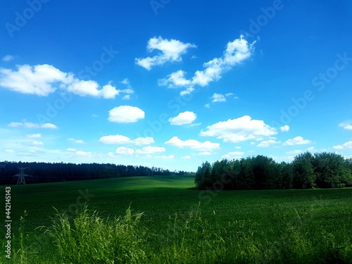 Sunset blue sky amid green fields