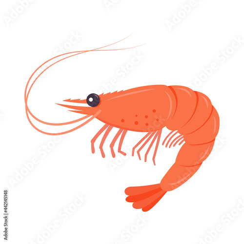 Boiled shrimp or tiger prawns isolated on white background.