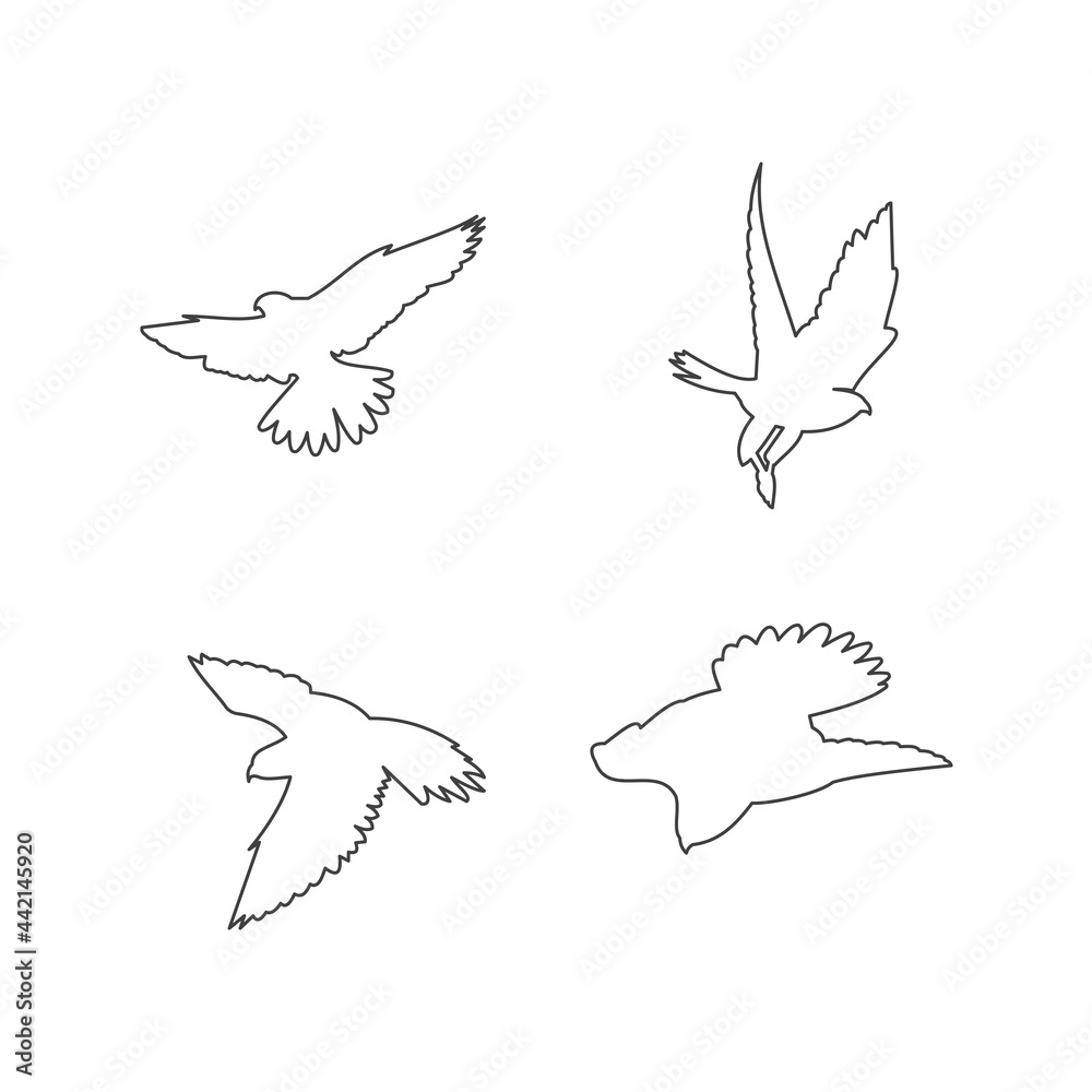 Falcon logo design template, icon illustration Falcon logo design template, icon illustration