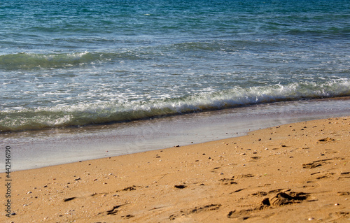 Beautiful seascape. Golden sand beach. Summer Idyllic scenery. Calm blue water. Vacation time. 
