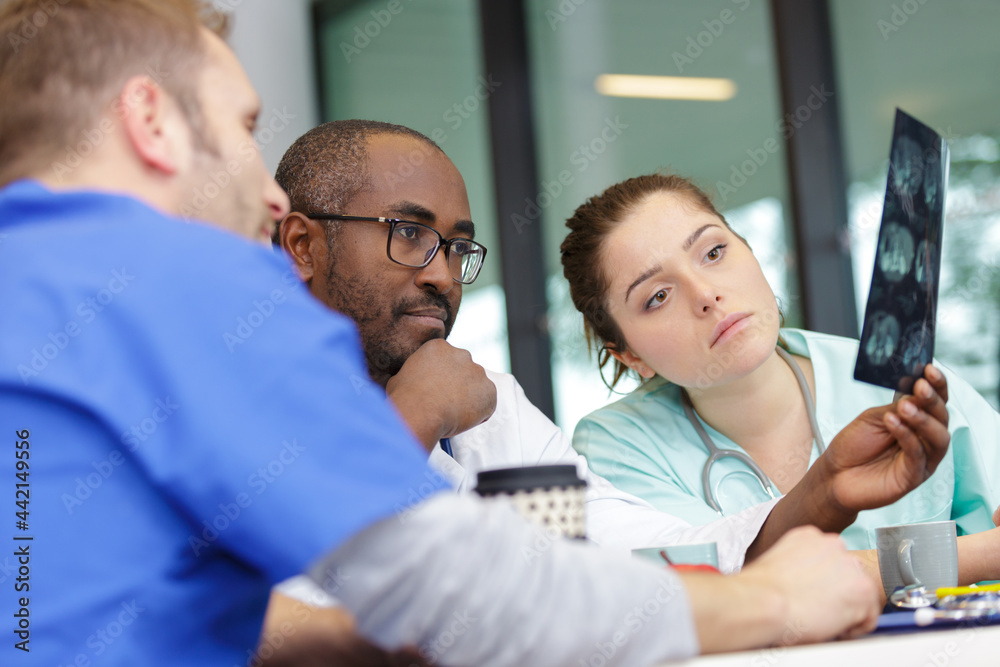 Fototapeta premium medical team looking at an x-ray