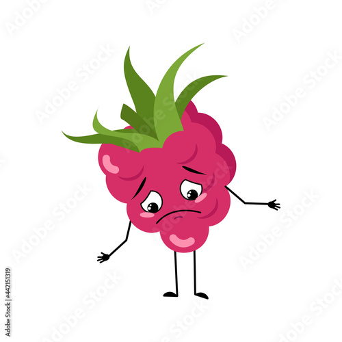 Cute raspberry character with sad emotions, downcast eyes, depressing face, arms and legs. The melancholy sweet food, berry, dessert. Vector flat illustration