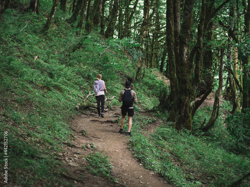 Hiking in the mountains through the wild forest. Tourist routes